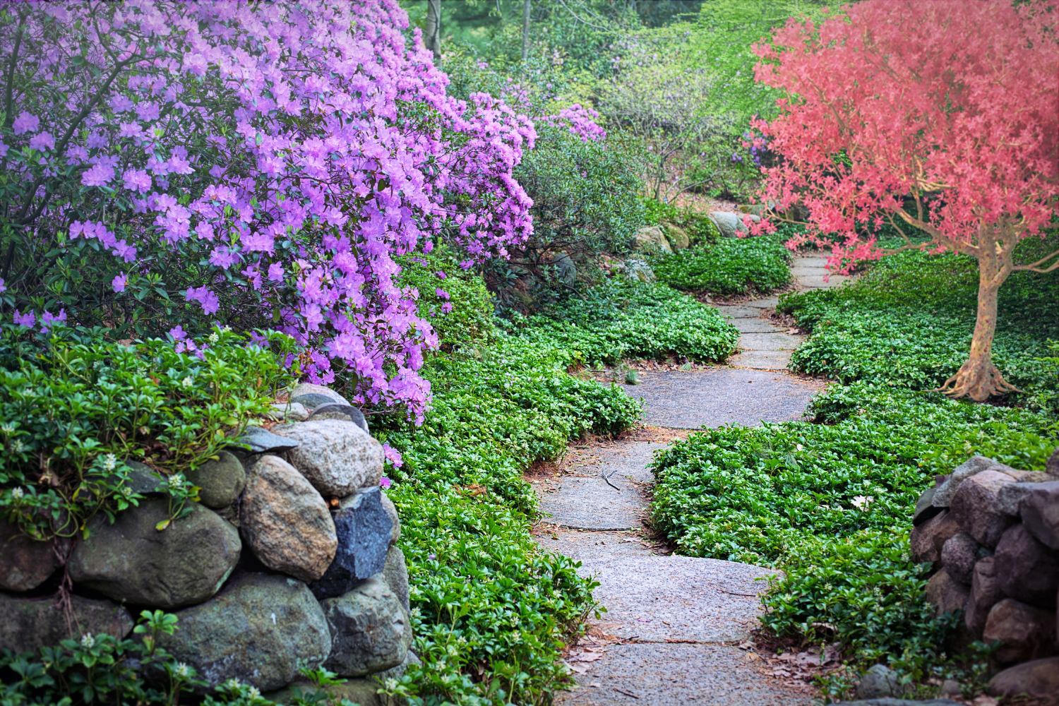 Transform Your Outdoor Oasis with RobGardens