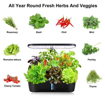 Hydroponics Growing System