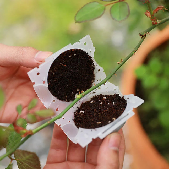 Garden Plant Rooting Ball Incubator