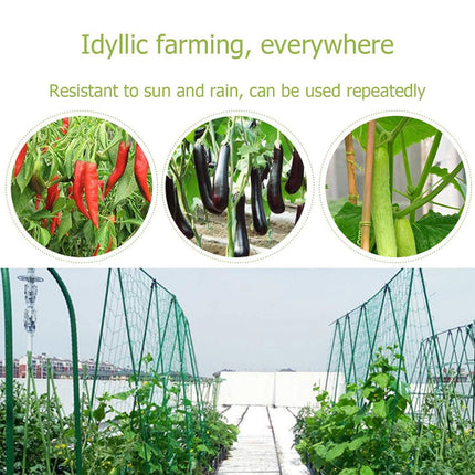 Garden Plants Climbing Nylon Net