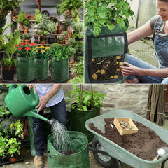 Collection image for: Green Thumb Essentials