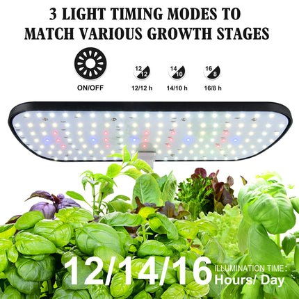Hydroponics Growing System