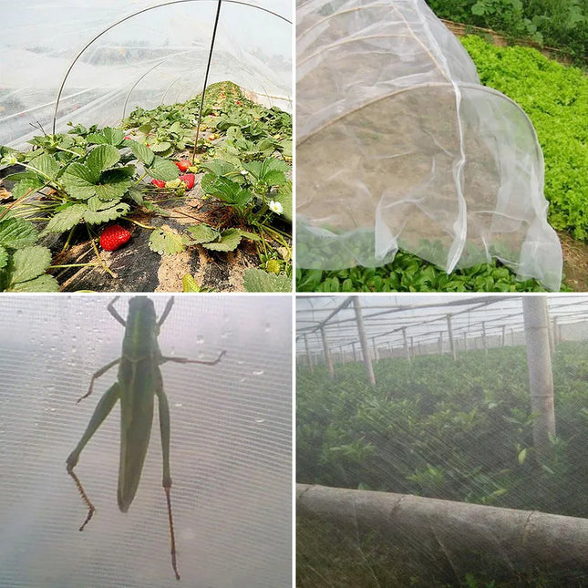 Garden Vegetable Insect Net Cover