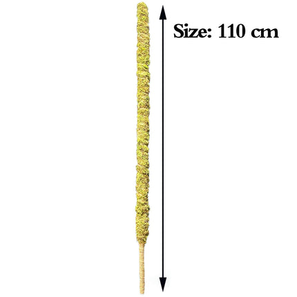 Tall Moss Pole for Plant