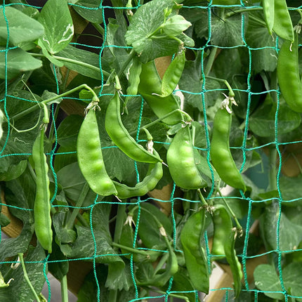 Garden Plants Climbing Nylon Net