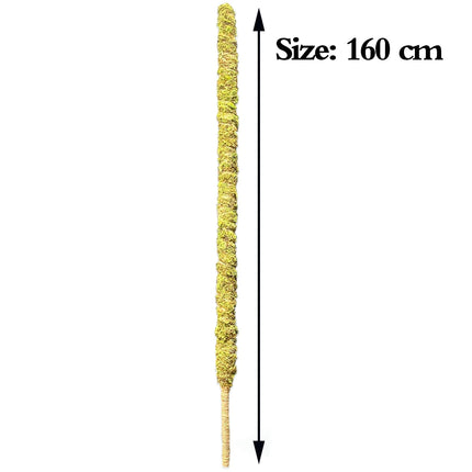 Tall Moss Pole for Plant