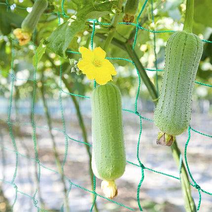 Garden Plants Climbing Nylon Net