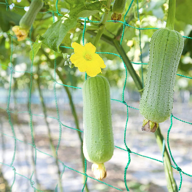 Garden Plants Climbing Nylon Net