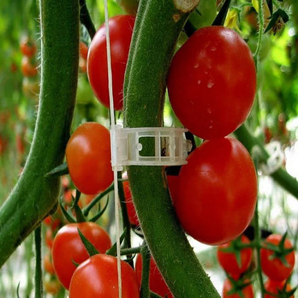 Plastic Plant Support Clips Grafting Fixing Tool for Garden