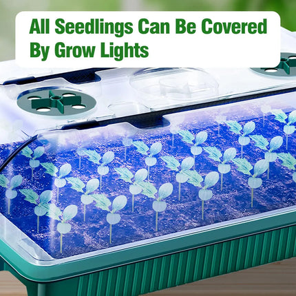 Seed Starter Trays With High Dome Germination Kit