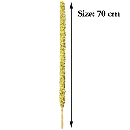 Tall Moss Pole for Plant