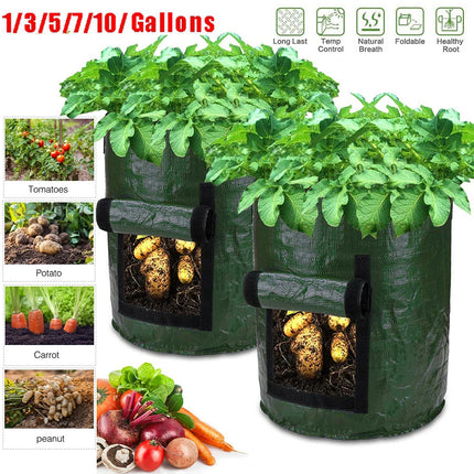 Vegetable Cultivation Planting Bag