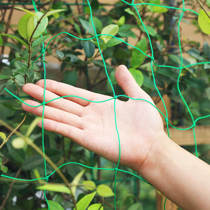 Garden Plants Climbing Nylon Net