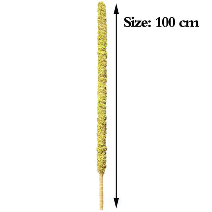 Tall Moss Pole for Plant