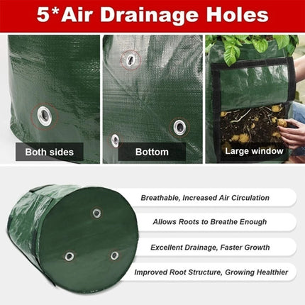 Vegetable Cultivation Planting Bag