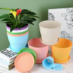 Collection image for: Pots and Planters Paradise