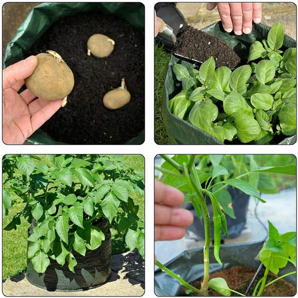 Vegetable Cultivation Planting Bag