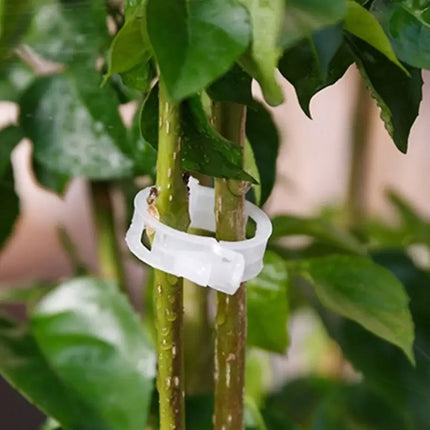 Plastic Plant Support Clips Grafting Fixing Tool for Garden